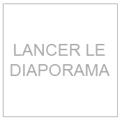 🚨OM - OL : les équipes officielles